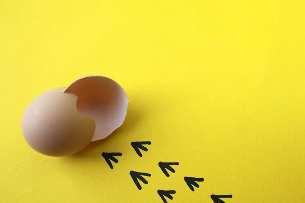 civciv yumurtadan ve kabukları ve işaretleri bırakarak yaptı 