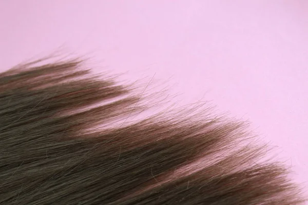 Texture Extrémités Des Cheveux Abîmés Inégaux Malsain — Photo
