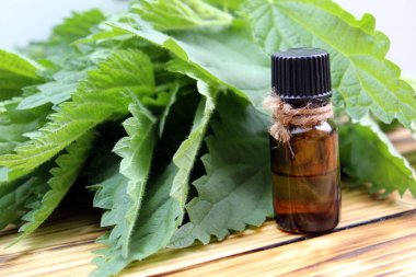 Masada ısırgan yağı şişesi