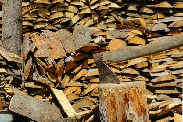 Impaled Stump Background Firewood Sarp — Stock Photo, Image