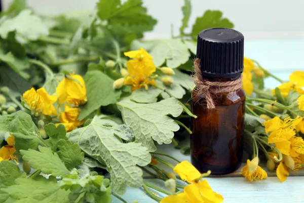 Celandine arka plan karşı masada bir şişe yağ var