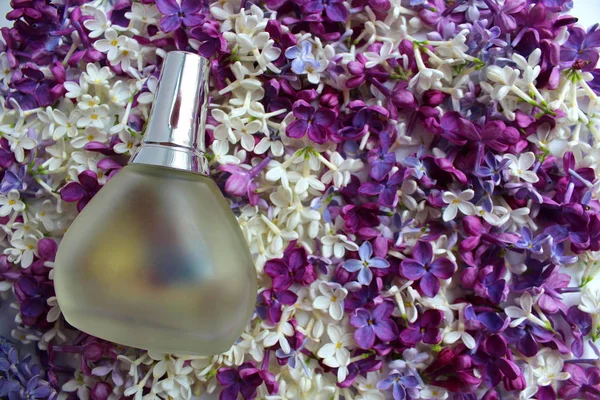 A bottle of perfume on a lilac background