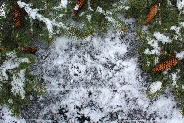 Achtergrond Met Kerst Takje Witte Sneeuw — Stockfoto