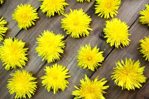 Texture Yellow Fresh Summer Dandelion Buds — Stock Photo, Image