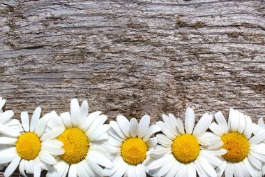 Beyaz papatyadoku bir şerit şeklinde ahşap bir masa üzerinde yalan