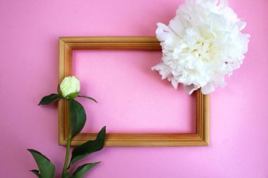 Beyaz şakayık tomurcukları çerçeve üzerinde