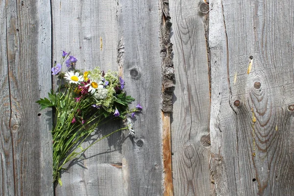 Ein Strauß Wilder Blumen Versteckt Zwischen Den Brettern Zaun — Stockfoto