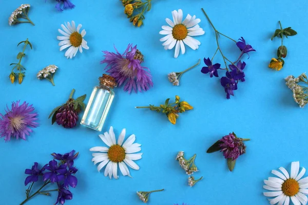 Textur Von Wildblumen Auf Blauem Hintergrund Mit Einem Fläschchen — Stockfoto