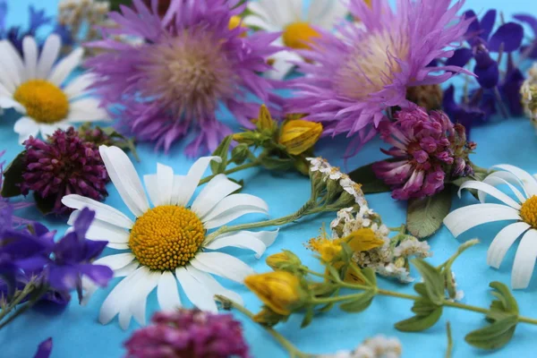 Textur Von Wilden Blumen Auf Blauem Himmel Hintergrund Gelegt — Stockfoto