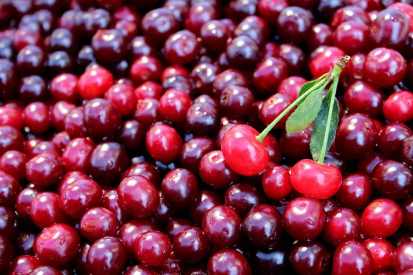 Texture Image Fresh Summer Berries Ripe Juicy Cherry — Stock Photo, Image