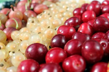 Taze çilek kiraz, bektaşi üzümü, frenk üzümü yüzeyinde bir şerit ile kaplı