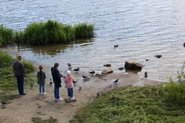 Familia Alimenta Patos Junto Río Verano — Foto de Stock