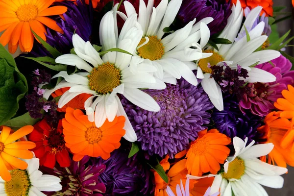 Prachtige Bloemen Textuur Met Een Zomerse Sfeer — Stockfoto