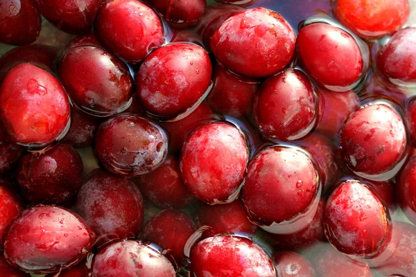 Ripe Juicy Plums Lie Water — Stock Photo, Image