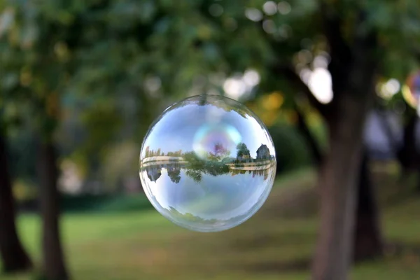 Una Gran Burbuja Jabón Que Refleja Naturaleza —  Fotos de Stock