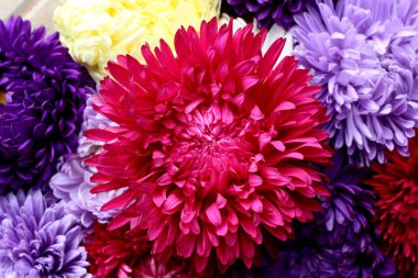 orta bir kırmızı tomurcuk doku aster buket