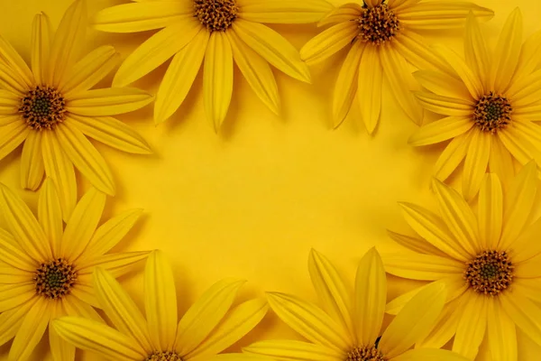新鲜黄色雏菊框架在黄色背景的纹理 — 图库照片