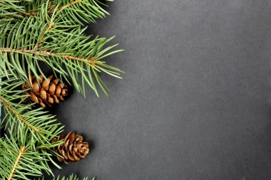 Külahlı ladin dalları siyah bir arkaplanda yatıyor.