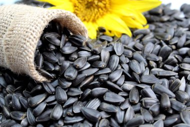 Üzerinde ayçiçeği tohumları olan küçük bir torba.