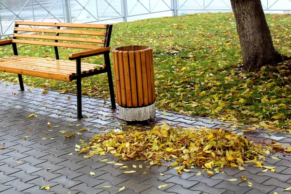 Een Bos Van Gele Herfstbladeren Ligt Stoep Buurt Van Bank — Stockfoto