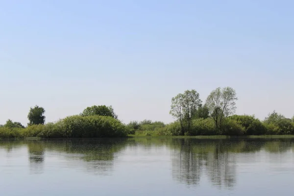 Alam Dekat Danau Dengan Pohon Dan Hari Yang Cerah — Stok Foto