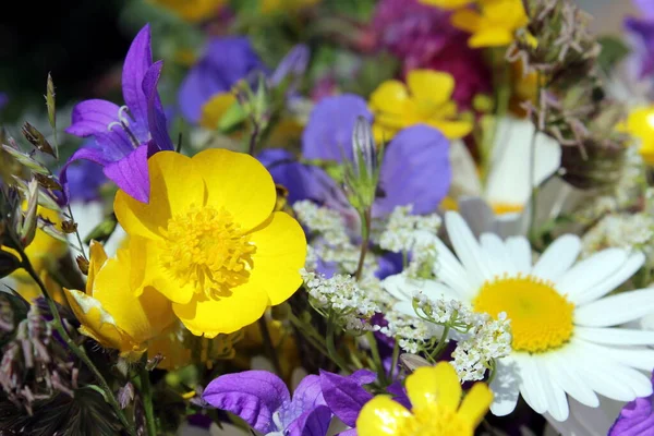 Heilkräuter Werden Einem Strauß Gesammelt Wildblumen — Stockfoto