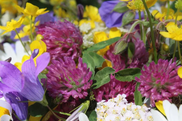 Geneeskrachtige Kruidenklaver Verzameld Een Boeket Met Andere Wilde Bloemen — Stockfoto