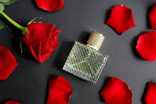 Frasco Perfume Sobre Fondo Negro Con Pétalos Rosa — Foto de Stock