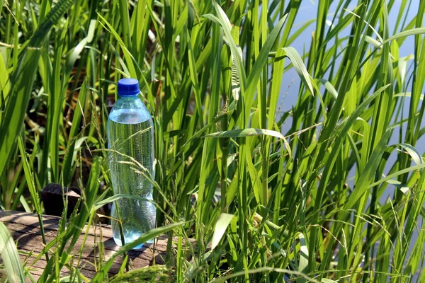 Een Plastic Fles Staat Het Gras Bij Het Meer — Stockfoto