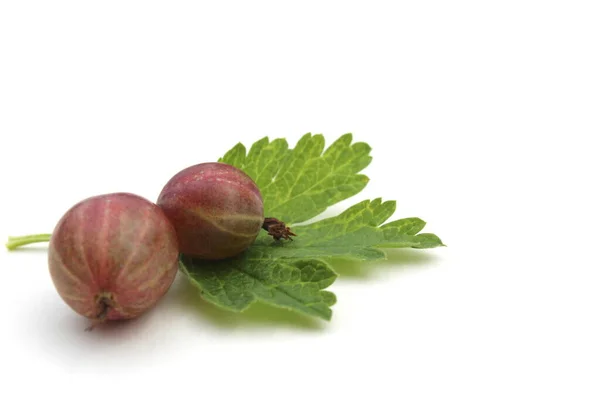 Zwei Rote Stachelbeeren Mit Einem Blatt Liegen Auf Weißem Hintergrund — Stockfoto