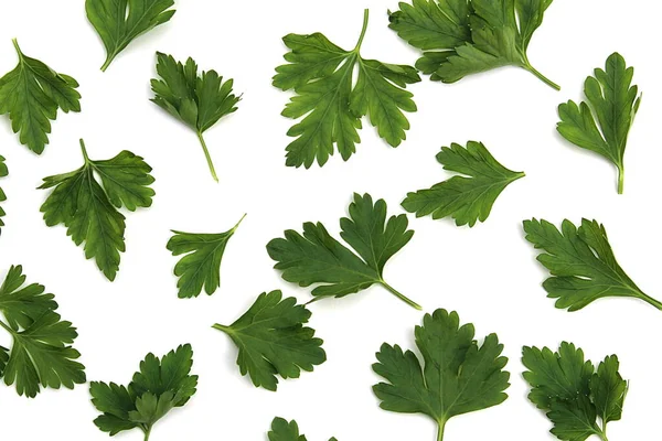 Textur Grüner Blätter Frischer Petersilie Auf Weißem Hintergrund — Stockfoto
