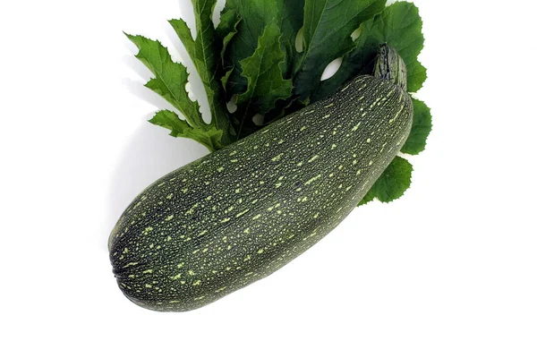 Zelená Zeleninová Dřeň Listem Leží Bílém Pozadí — Stock fotografie