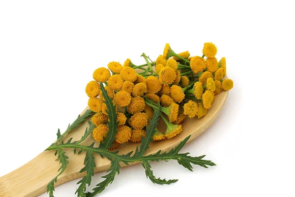 Eine Gelbe Stiefmütterchenblume Liegt Auf Einem Kochlöffel — Stockfoto