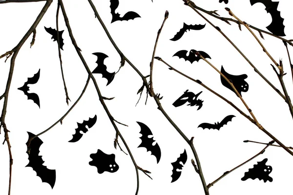 Fundo Para Galhos Halloween Morcegos Baratas Fundo Branco — Fotografia de Stock
