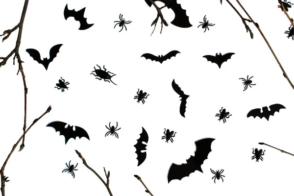 Background Halloween Twigs Bats Cockroaches White Background — Stock Photo, Image