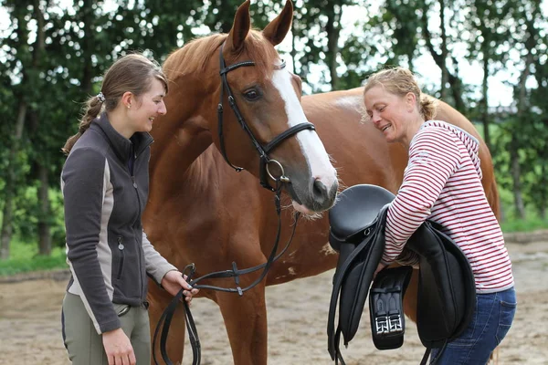 Horsewoman Horse Saddle Fitting Saddler — Stock Photo, Image