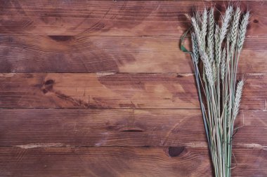 Ahşap bir arka plan üzerinde genç buğday Spikelets