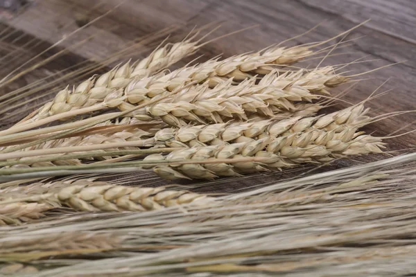 Колючки пшеницы на деревянном фоне — стоковое фото