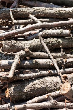 Bir yığın doğranmış küçük tahta çubuk.