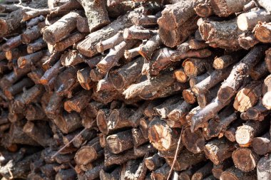 Bir yığın doğranmış küçük tahta çubuk.