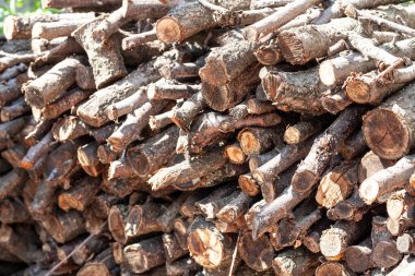 Bir yığın doğranmış küçük tahta çubuk.