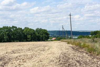 Güneşli bir günde hasattan sonra büyük buğday tarlaları