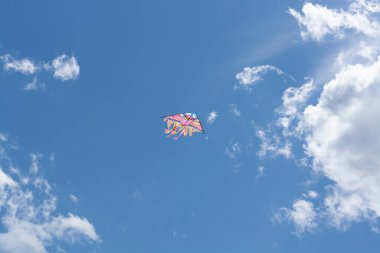Ofis aksesuarlarıyla fotokopi alanı olan sağlam bir arka planda akıllı telefon. Modern ve minimal stil üst görünümü kapat