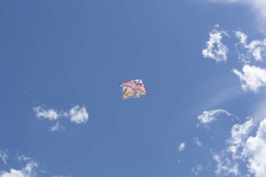 Ofis aksesuarlarıyla fotokopi alanı olan sağlam bir arka planda akıllı telefon. Modern ve minimal stil üst görünümü kapat