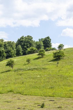 Geniş tarlaları ve yeşil ormanları olan güzel bir kırsal bölge.