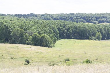 Geniş tarlaları ve yeşil ormanları olan güzel bir kırsal bölge.