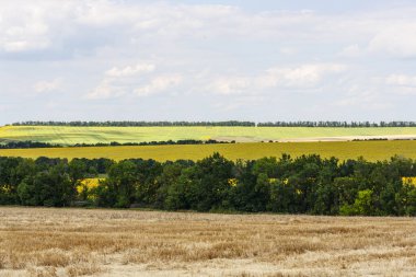 Geniş tarlaları ve yeşil ormanları olan güzel bir kırsal bölge.