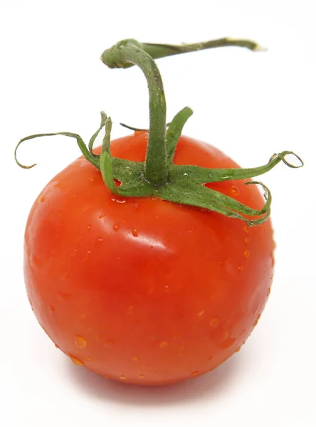 Свіжий стиглий помідор мокрий зі стовбуром — стокове фото