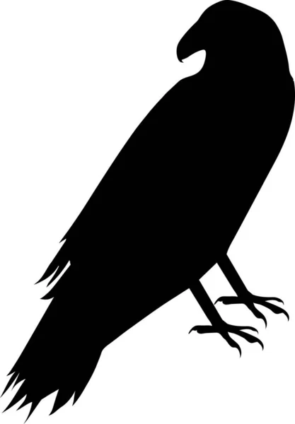 Perched Raven Illustration Black White — Stock Photo, Image