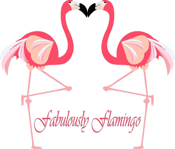 Pair Flamingo Birds Standing Illustration — Stock Photo, Image